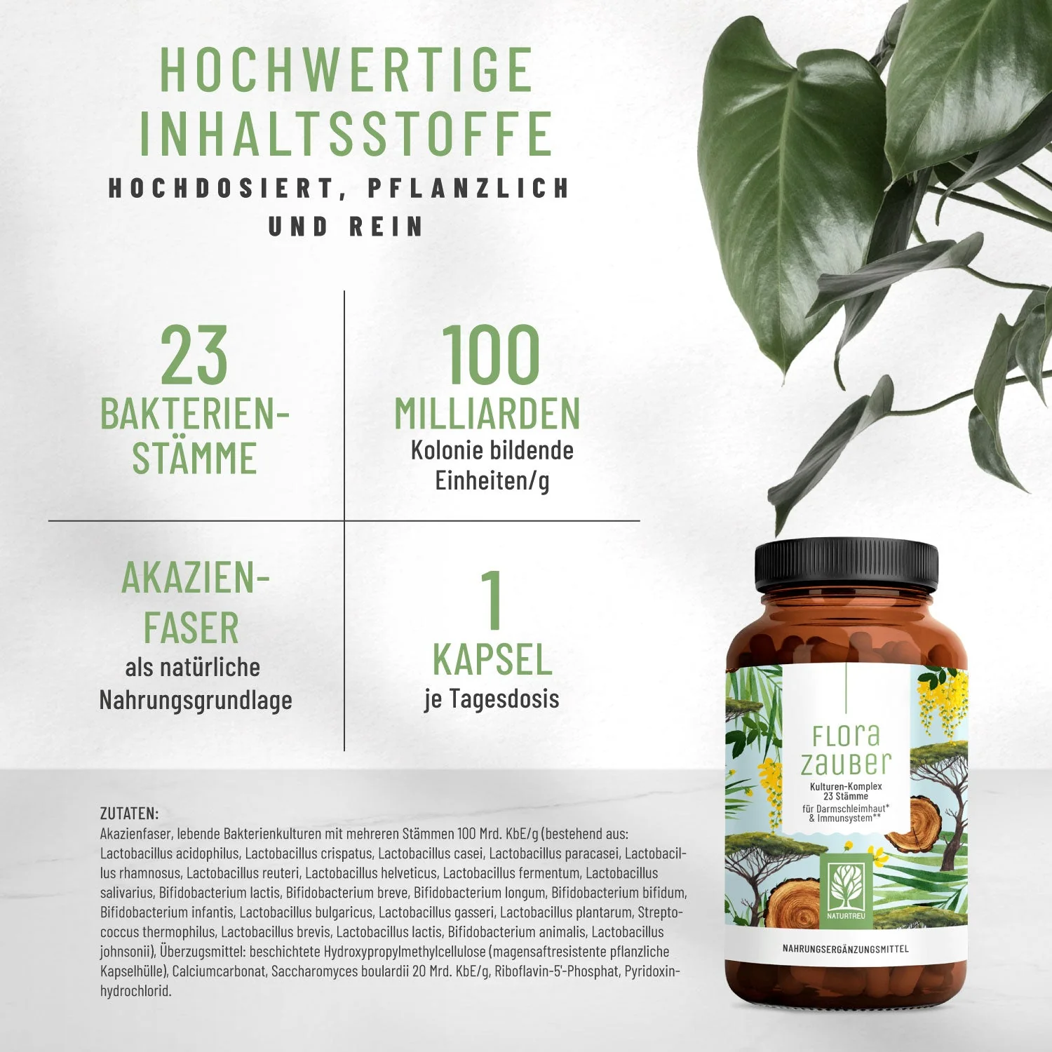 Flora Balance-Paket: Florasamen, Florazauber & Pilzkraft - Image 4