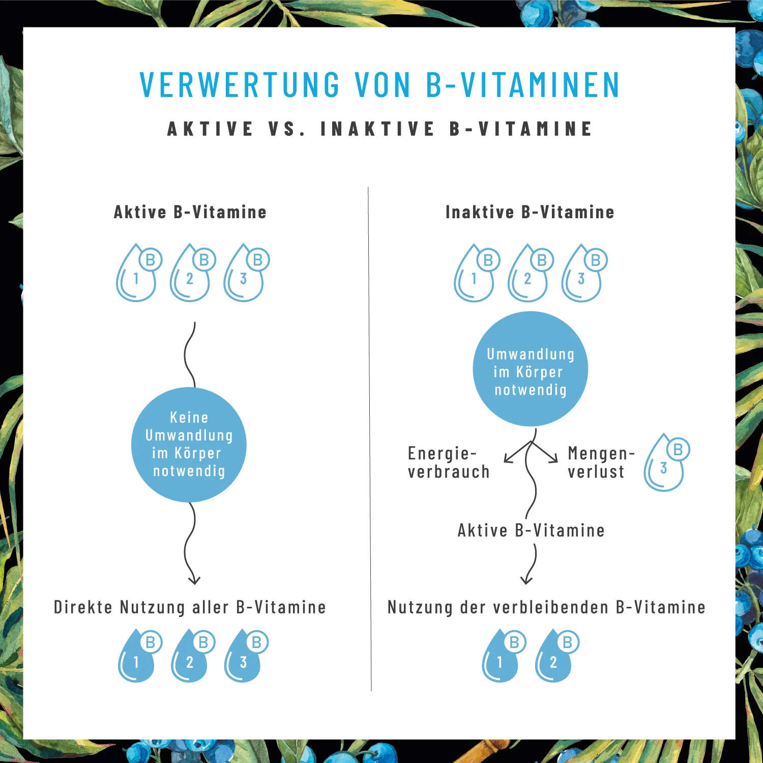 Nervenstark: Vitamin B-Komplex hochdosiert - Image 7