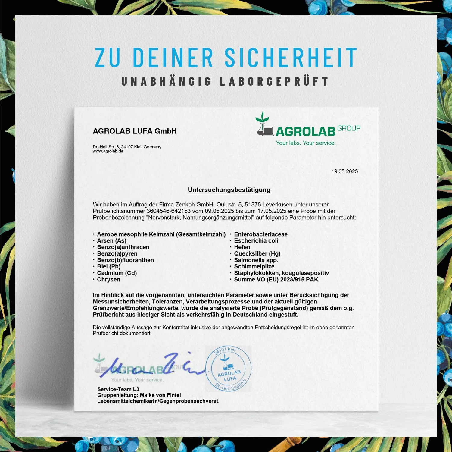 Nervenstark: Vitamin B-Komplex hochdosiert - Image 9