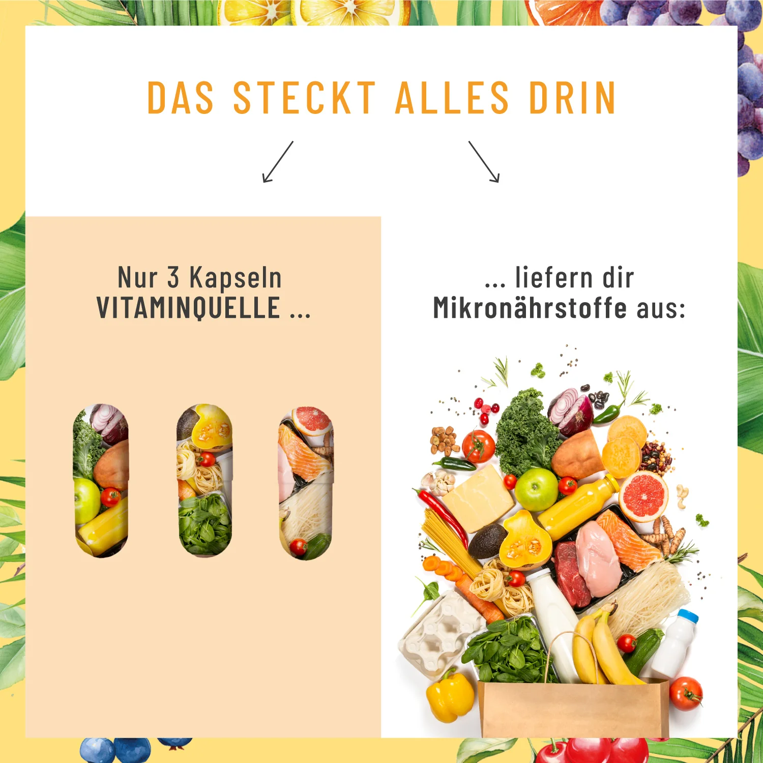 Vitaminquelle: Multivitamin-Komplex mit ausgewählten Vitaminen, Pflanzen- und Mineralstoffen - Image 8
