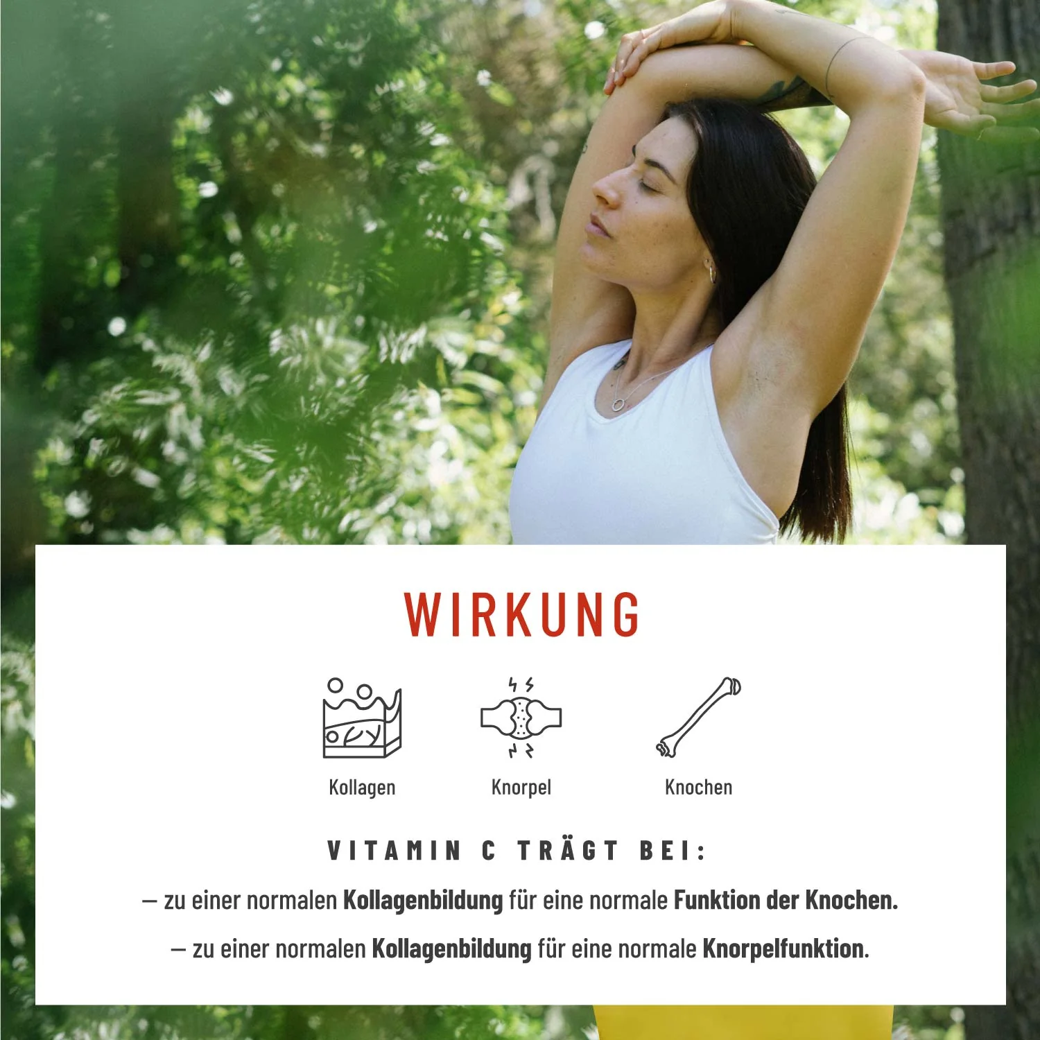 Vulkanstark: MSM-Komplex mit Vitamin C - Image 4