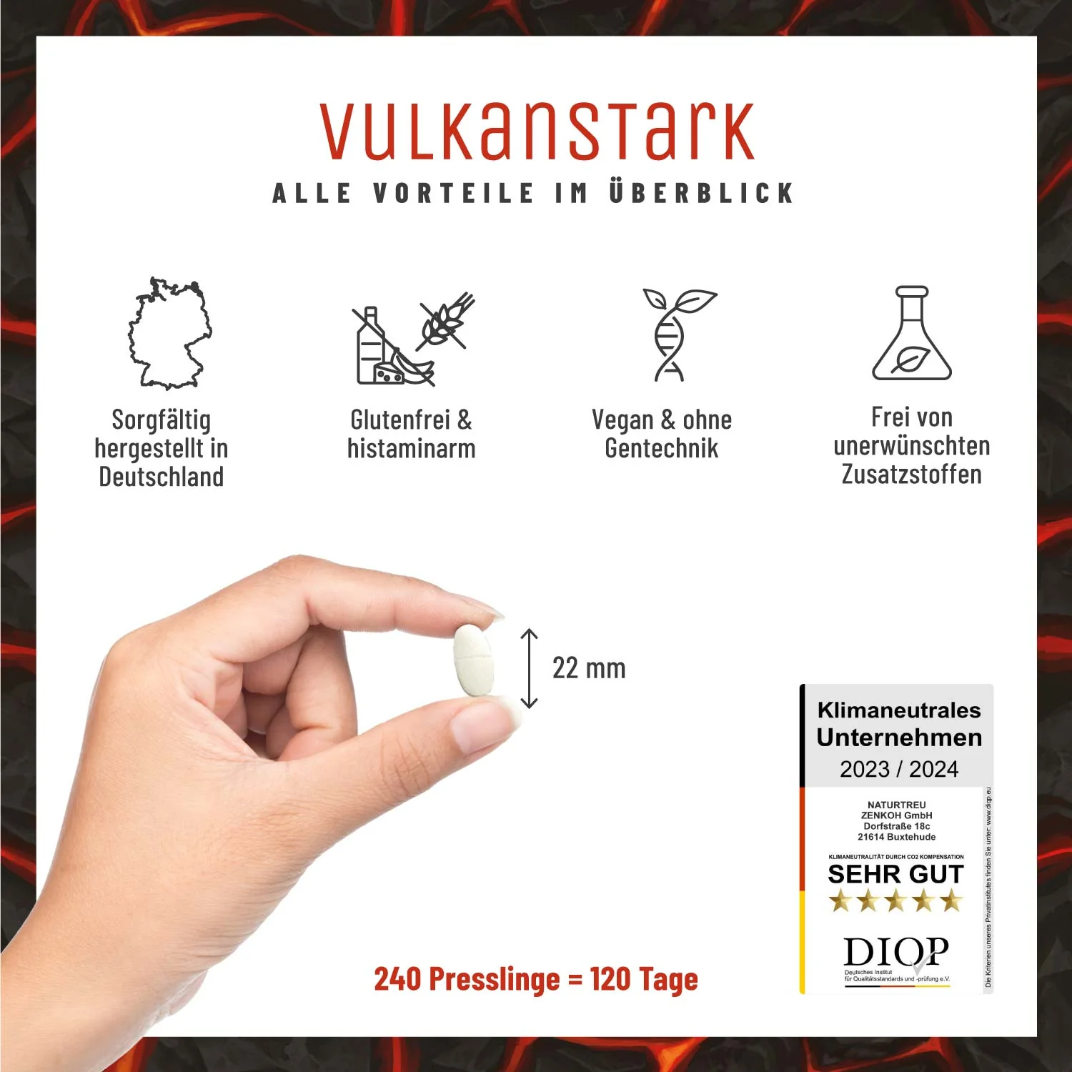 Vulkanstark: MSM-Komplex mit Vitamin C - Image 8