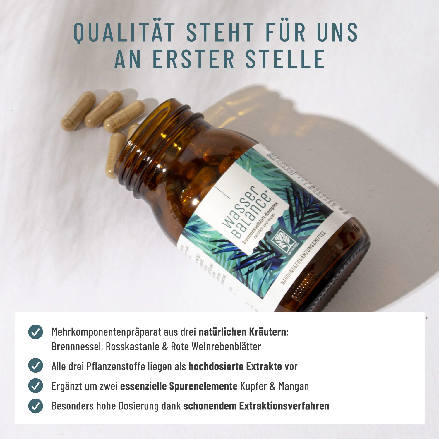 Wasserbalance: Brennnesselblatt-Komplex - Image 5