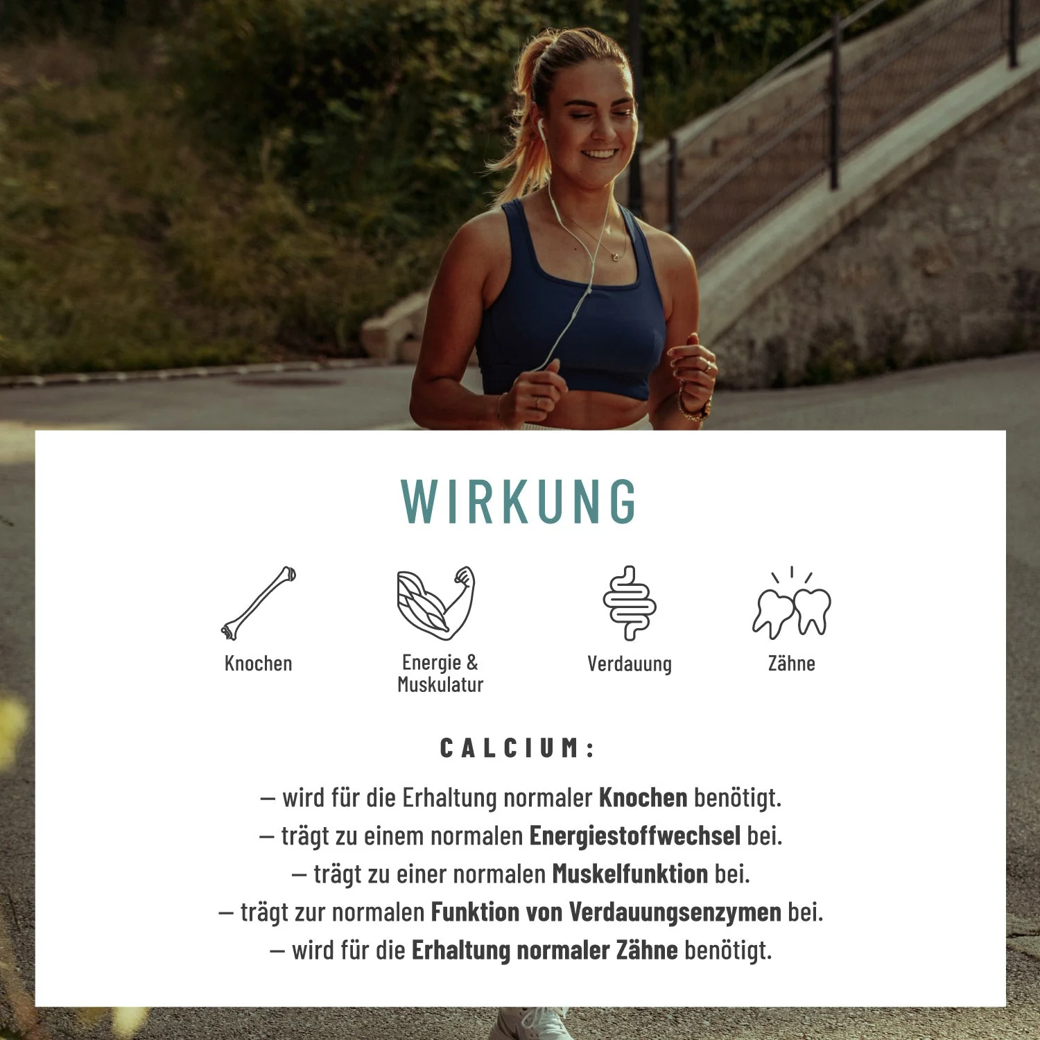 Wechselwohl Paket: Komplex mit Yamswurzel & Rotklee, Calcium mit Vitamin C & Coenzym Q10 - Image 6