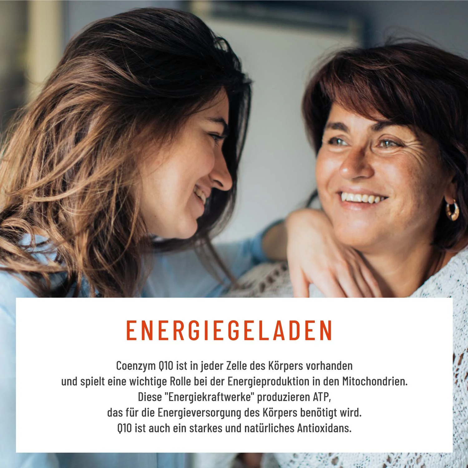 Wechselwohl Paket: Komplex mit Yamswurzel & Rotklee, Calcium mit Vitamin C & Coenzym Q10 - Image 7