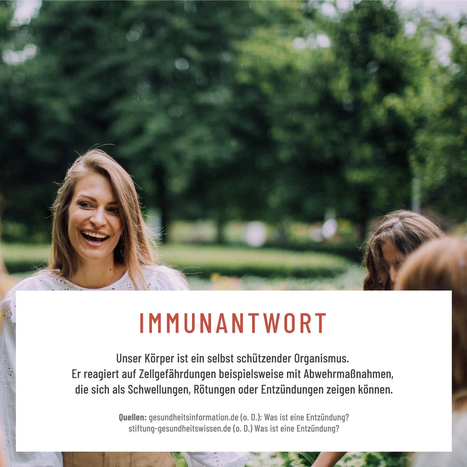 Wohlenzym -  Enzym-Komplex mit Bromelain & Papain - Image 6