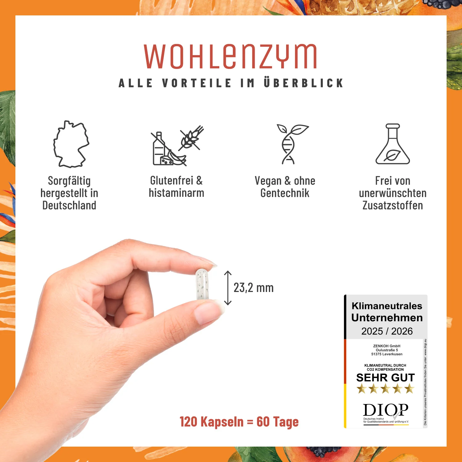 Wohlenzym -  Enzym-Komplex mit Bromelain & Papain - Image 8