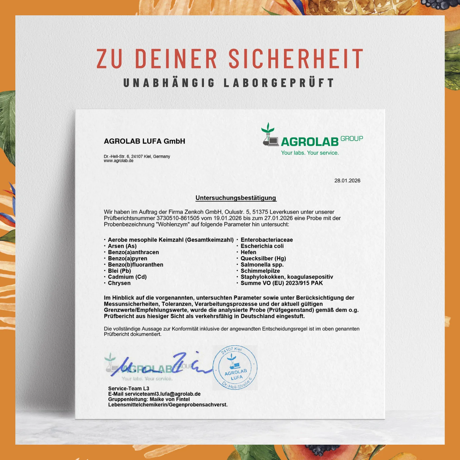 Wohlenzym -  Enzym-Komplex mit Bromelain & Papain - Image 9