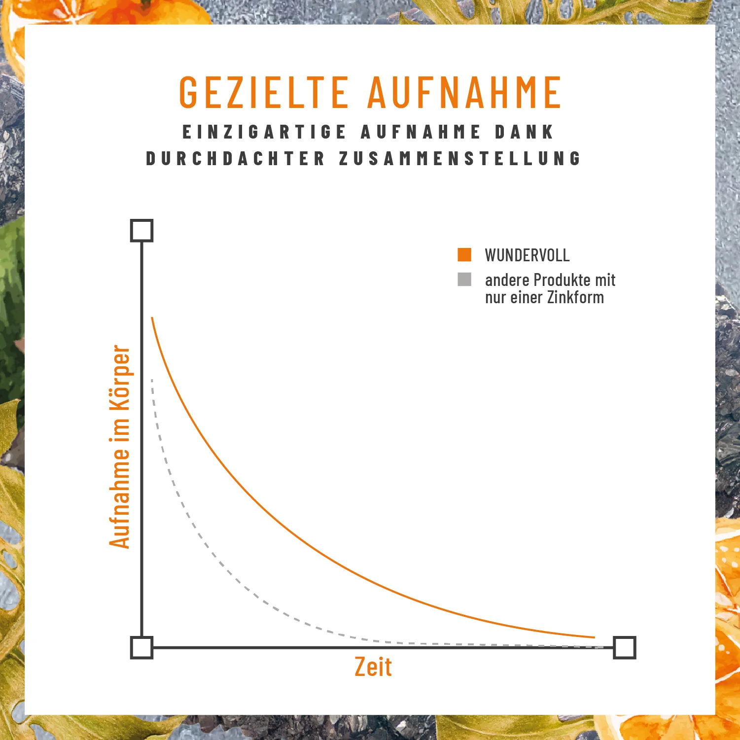 Wundervoll: Zink-Komplex Kapseln - Image 7